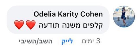 המלצת לקוח 2