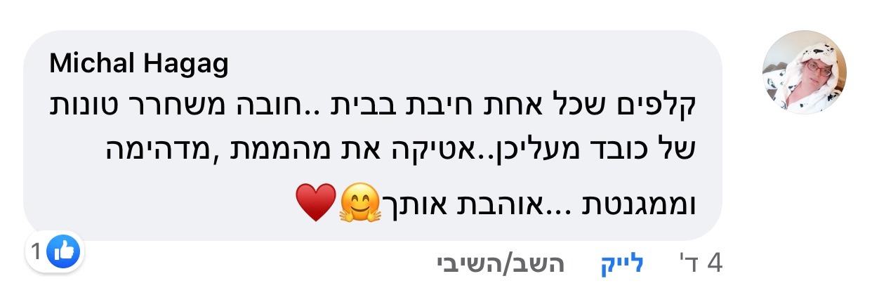 המלצת לקוח 6