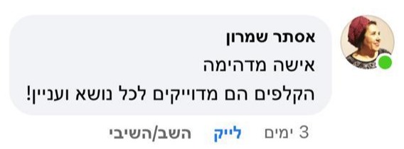 המלצת לקוח 3