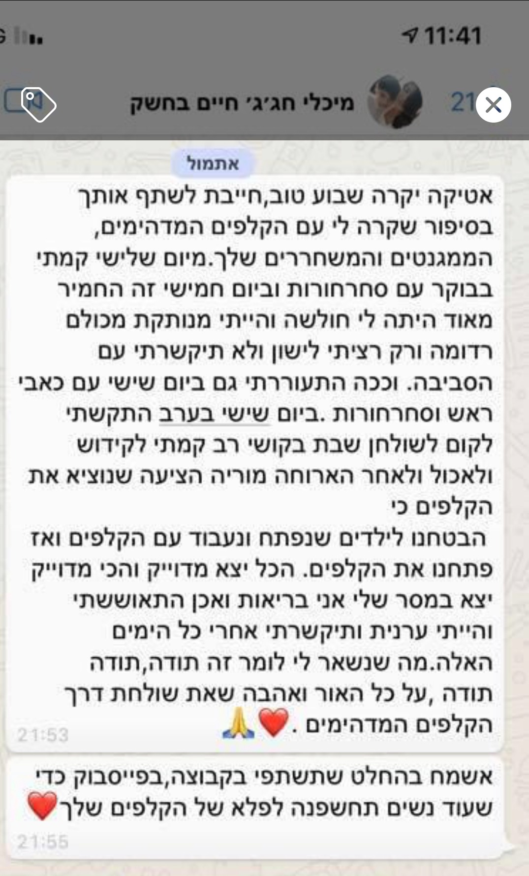 המלצת לקוח 18