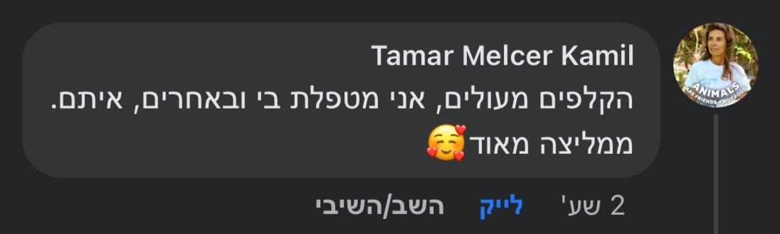 המלצת לקוח 10