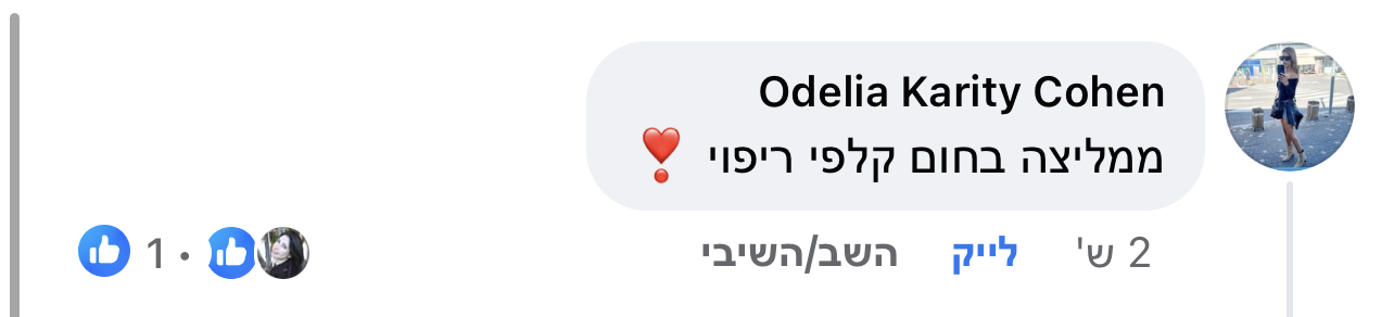 המלצת לקוח 22