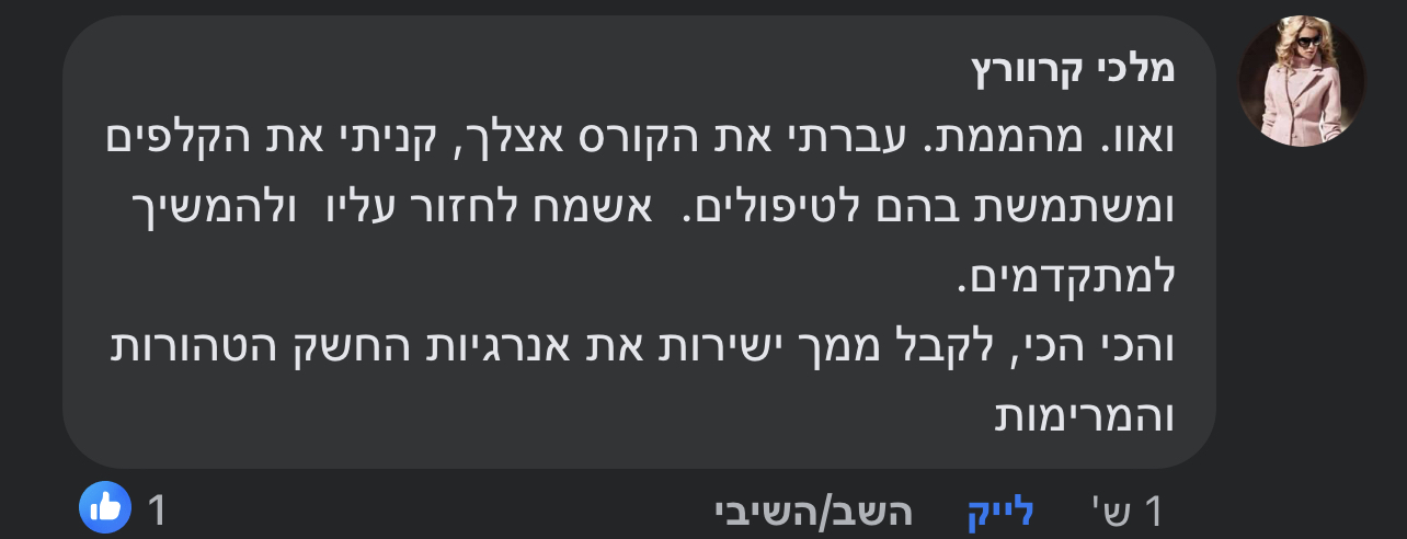 המלצת לקוח 13